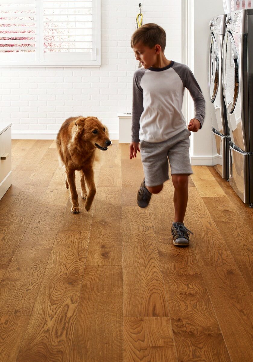 Pet friendly floor | Junge's Flooring